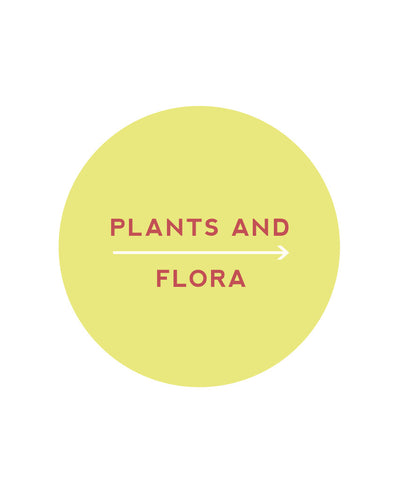 Plants & Flora